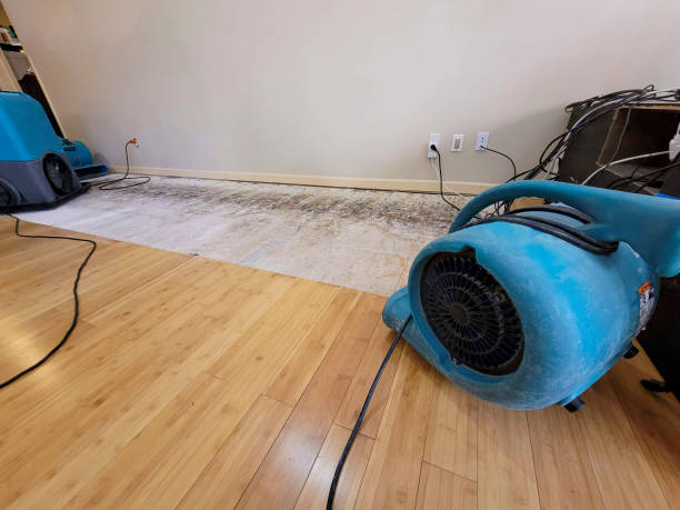 Professional Emergency Water Damage technician working in Gadsden, AL